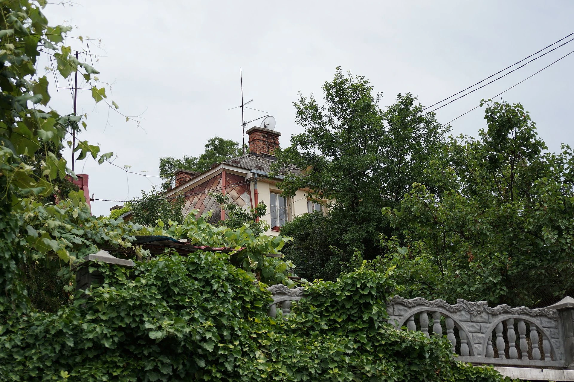 Що подивитися в Ужгороді: прогулянка вулицею Ольбрахта